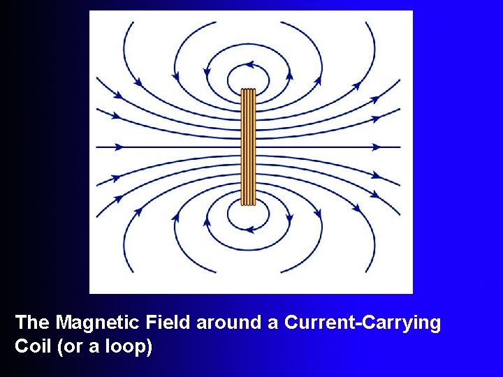 The Magnetic Field around a Current-Carrying Coil (or a loop) 
