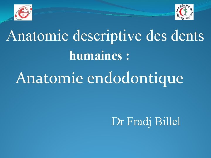 Anatomie descriptive des dents humaines : Anatomie endodontique Dr Fradj Billel 