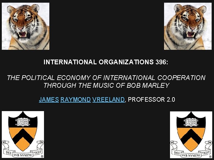 INTERNATIONAL ORGANIZATIONS 396: THE POLITICAL ECONOMY OF INTERNATIONAL COOPERATION THROUGH THE MUSIC OF BOB