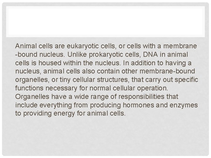 Animal cells are eukaryotic cells, or cells with a membrane -bound nucleus. Unlike prokaryotic