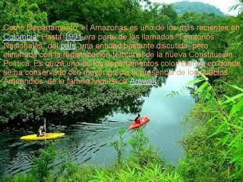 Como Departamento, el Amazonas es uno de los más recientes en Colombia. Hasta 1991 Como Departamento, el Amazonas es uno de los más recientes en Colombia. Hasta 1991