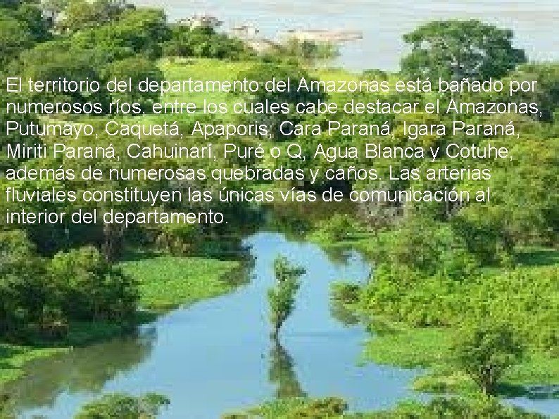 El territorio del departamento del Amazonas está bañado por numerosos ríos, entre los cuales