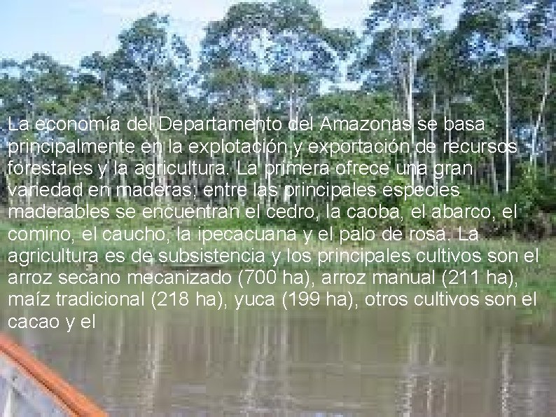 La economía del Departamento del Amazonas se basa principalmente en la explotación y exportación