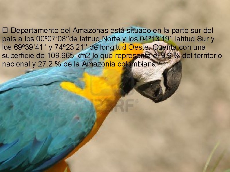 El Departamento del Amazonas está situado en la parte sur del país a los