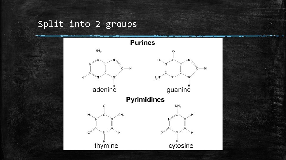 Split into 2 groups 