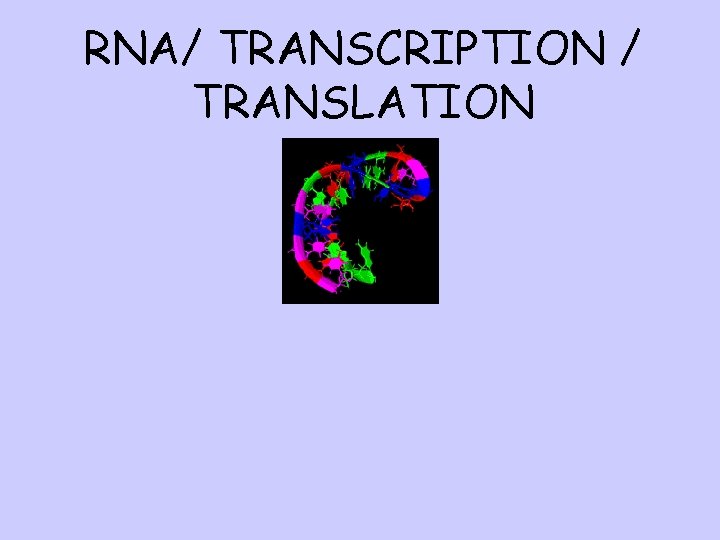 RNA/ TRANSCRIPTION / TRANSLATION 