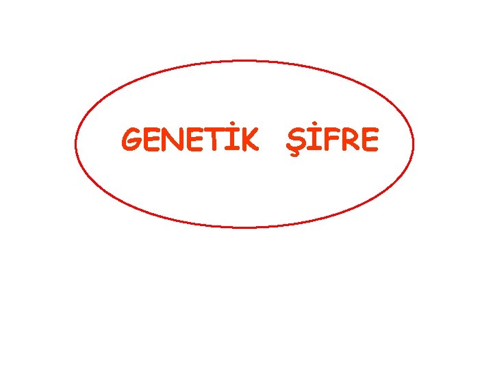 GENETİK ŞİFRE 