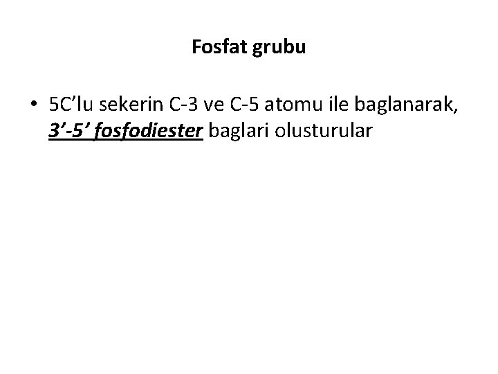 Fosfat grubu • 5 C’lu sekerin C-3 ve C-5 atomu ile baglanarak, 3’-5’ fosfodiester