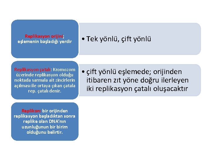 Replikasyon orijini; eşlemenin başladığı yerdir Replikasyon çatalı: Kromozom üzerinde replikasyon olduğu noktada sarmala ait