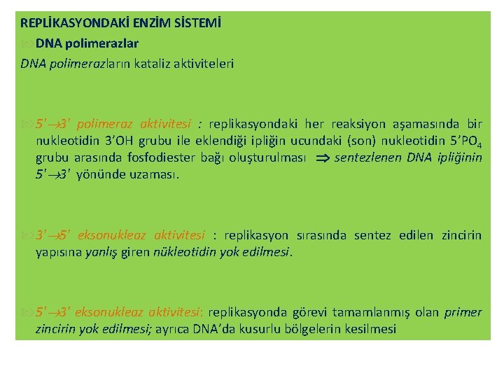 REPLİKASYONDAKİ ENZİM SİSTEMİ DNA polimerazların kataliz aktiviteleri 5' 3' polimeraz aktivitesi : replikasyondaki her