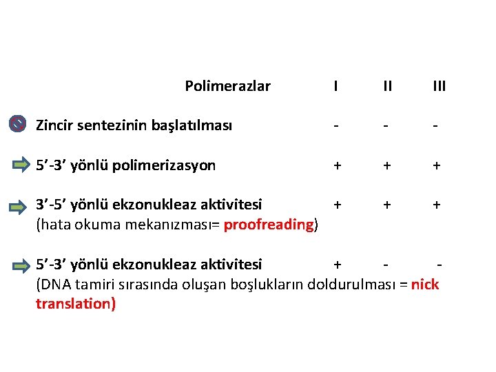 Polimerazlar I II III Zincir sentezinin başlatılması - - - 5’-3’ yönlü polimerizasyon +