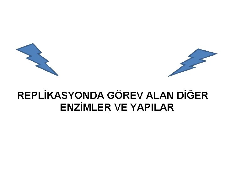 REPLİKASYONDA GÖREV ALAN DİĞER ENZİMLER VE YAPILAR 