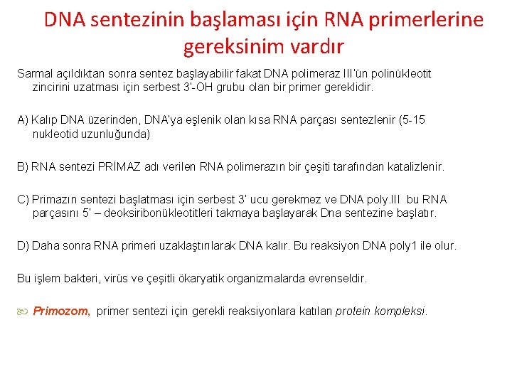 DNA sentezinin başlaması için RNA primerlerine gereksinim vardır Sarmal açıldıktan sonra sentez başlayabilir fakat