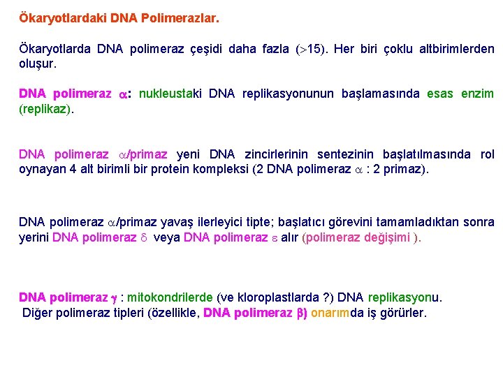 Ökaryotlardaki DNA Polimerazlar. Ökaryotlarda DNA polimeraz çeşidi daha fazla ( 15). Her biri çoklu