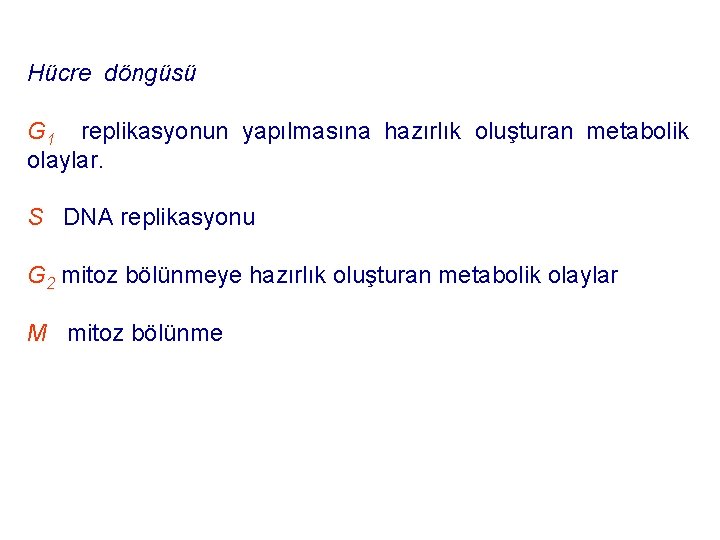 Hücre döngüsü G 1 replikasyonun yapılmasına hazırlık oluşturan metabolik olaylar. S DNA replikasyonu G