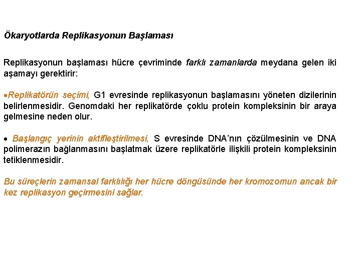 Ökaryotlarda Replikasyonun Başlaması Replikasyonun başlaması hücre çevriminde farklı zamanlarda meydana gelen iki aşamayı gerektirir: