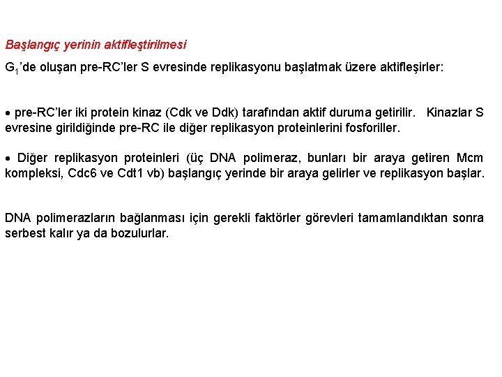 Başlangıç yerinin aktifleştirilmesi G 1’de oluşan pre-RC’ler S evresinde replikasyonu başlatmak üzere aktifleşirler: pre-RC’ler