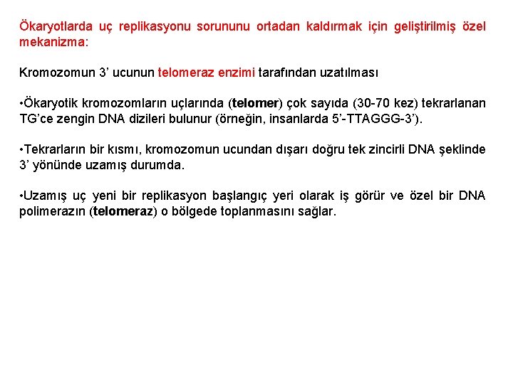 Ökaryotlarda uç replikasyonu sorununu ortadan kaldırmak için geliştirilmiş özel mekanizma: Kromozomun 3’ ucunun telomeraz