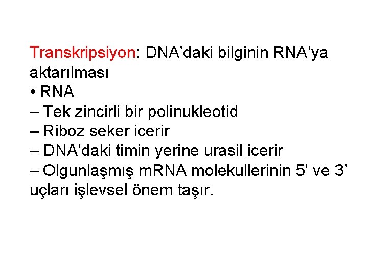 Transkripsiyon: DNA’daki bilginin RNA’ya aktarılması • RNA – Tek zincirli bir polinukleotid – Riboz