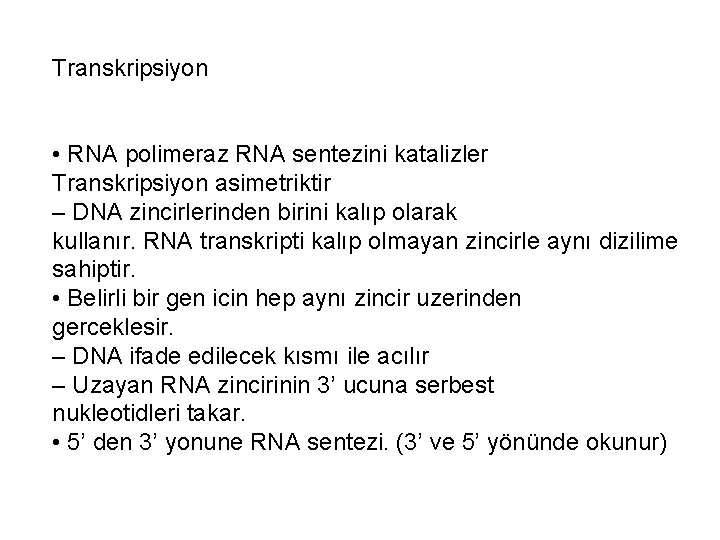 Transkripsiyon • RNA polimeraz RNA sentezini katalizler Transkripsiyon asimetriktir – DNA zincirlerinden birini kalıp