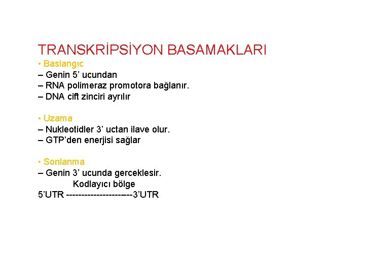 TRANSKRİPSİYON BASAMAKLARI • Baslangıc – Genin 5’ ucundan – RNA polimeraz promotora bağlanır. –