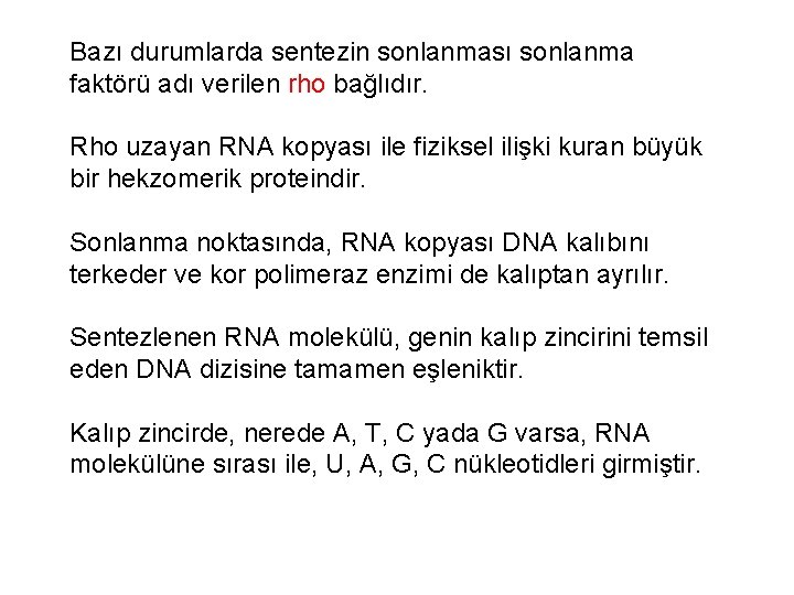 Bazı durumlarda sentezin sonlanması sonlanma faktörü adı verilen rho bağlıdır. Rho uzayan RNA kopyası
