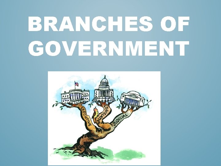 BRANCHES OF GOVERNMENT BRANCHES OF GOVERNMENT