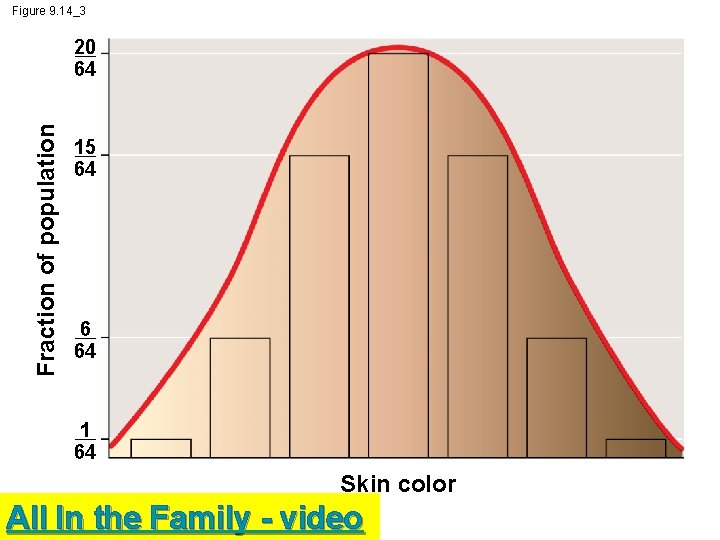 Figure 9. 14_3 Fraction of population 20 64 15 64 6 64 1 64