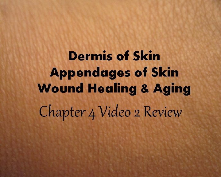 Dermis of Skin Appendages of Skin Wound Healing & Aging Chapter 4 Video 2