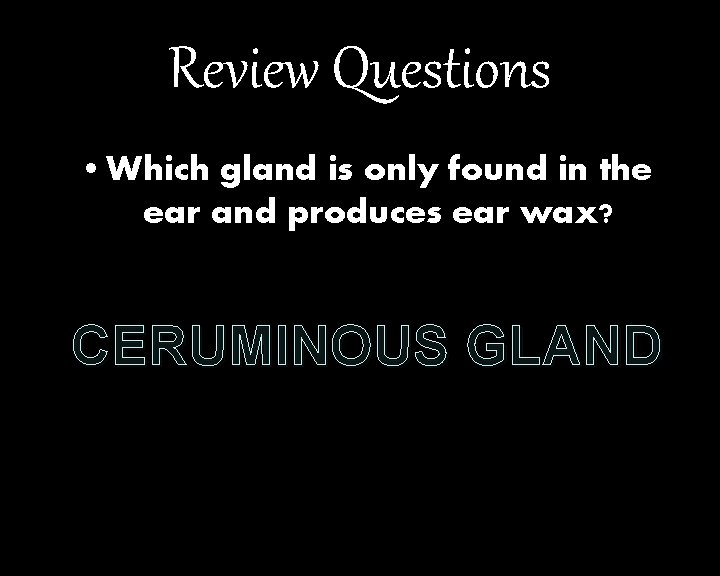 Review Questions • Which gland is only found in the ear and produces ear