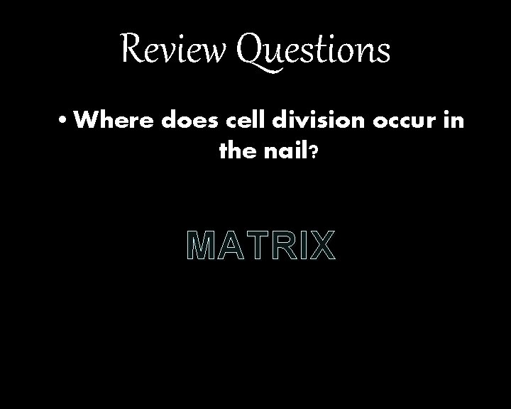 Review Questions • Where does cell division occur in the nail? MATRIX 