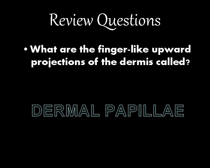 Review Questions • What are the finger-like upward projections of the dermis called? DERMAL