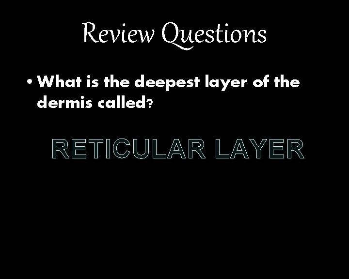 Review Questions • What is the deepest layer of the dermis called? RETICULAR LAYER