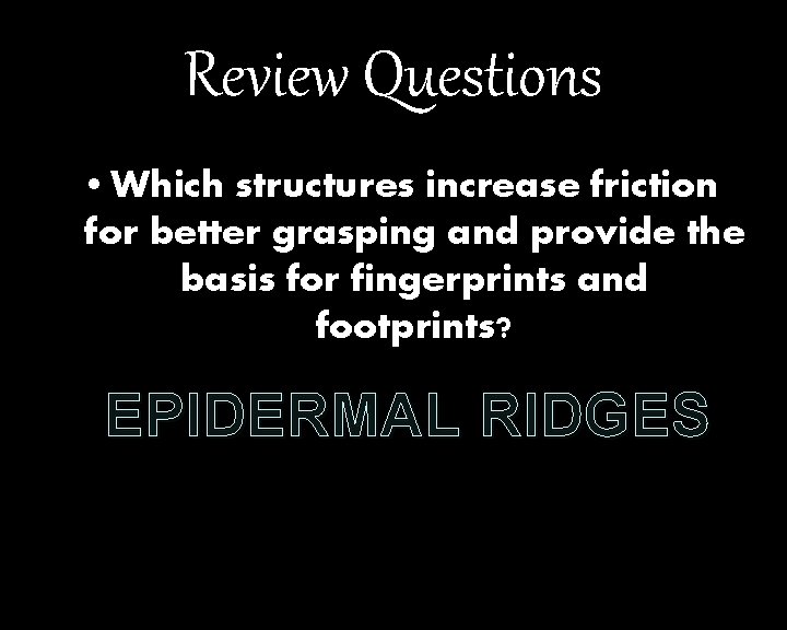 Review Questions • Which structures increase friction for better grasping and provide the basis