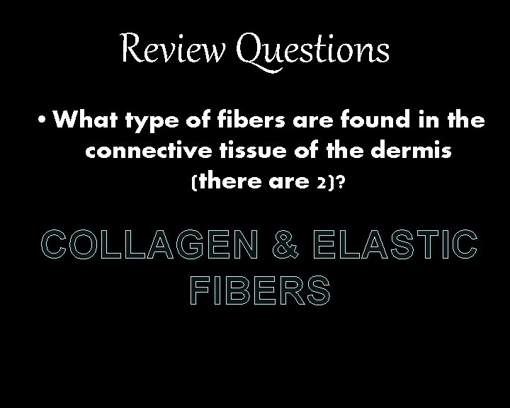 Review Questions • What type of fibers are found in the connective tissue of