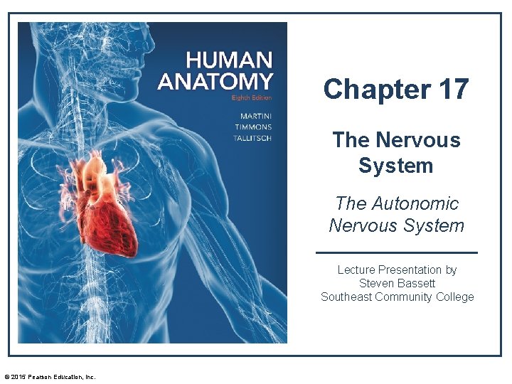 Chapter 17 The Nervous System The Autonomic Nervous System Lecture Presentation by Steven Bassett