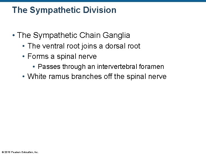 The Sympathetic Division • The Sympathetic Chain Ganglia • The ventral root joins a