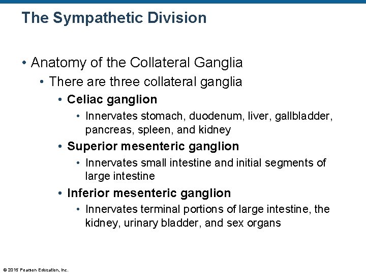 The Sympathetic Division • Anatomy of the Collateral Ganglia • There are three collateral