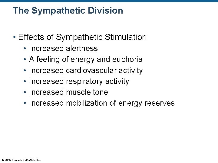 The Sympathetic Division • Effects of Sympathetic Stimulation • • • Increased alertness A