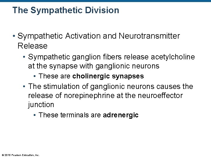 The Sympathetic Division • Sympathetic Activation and Neurotransmitter Release • Sympathetic ganglion fibers release