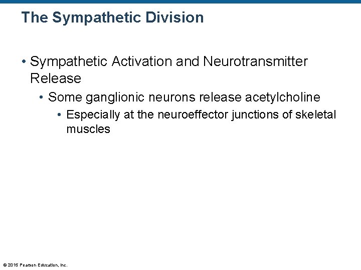 The Sympathetic Division • Sympathetic Activation and Neurotransmitter Release • Some ganglionic neurons release