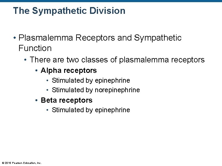The Sympathetic Division • Plasmalemma Receptors and Sympathetic Function • There are two classes