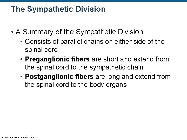 The Sympathetic Division • A Summary of the Sympathetic Division • Consists of parallel