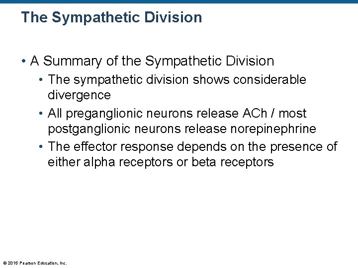 The Sympathetic Division • A Summary of the Sympathetic Division • The sympathetic division