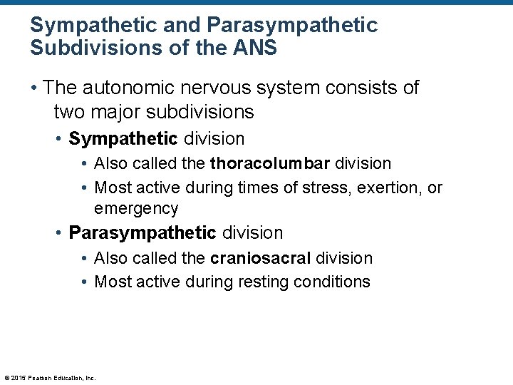 Sympathetic and Parasympathetic Subdivisions of the ANS • The autonomic nervous system consists of