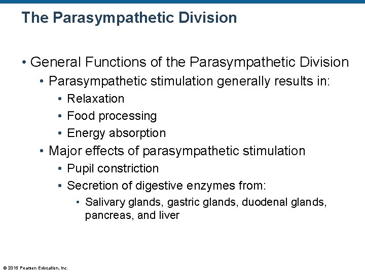 The Parasympathetic Division • General Functions of the Parasympathetic Division • Parasympathetic stimulation generally