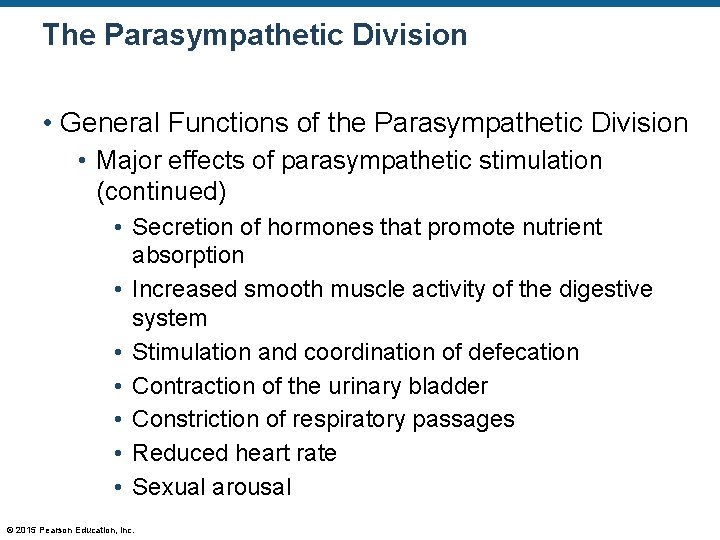 The Parasympathetic Division • General Functions of the Parasympathetic Division • Major effects of