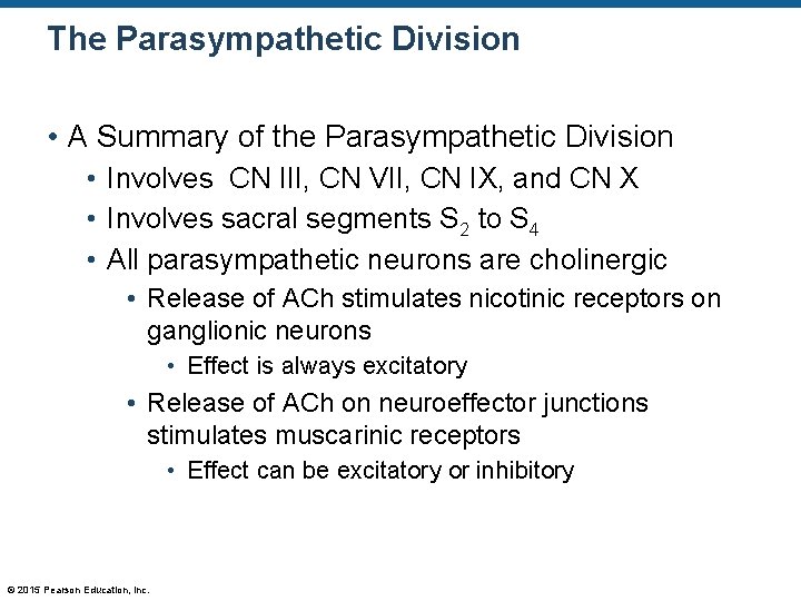 The Parasympathetic Division • A Summary of the Parasympathetic Division • Involves CN III,