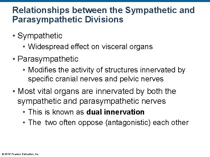 Relationships between the Sympathetic and Parasympathetic Divisions • Sympathetic • Widespread effect on visceral