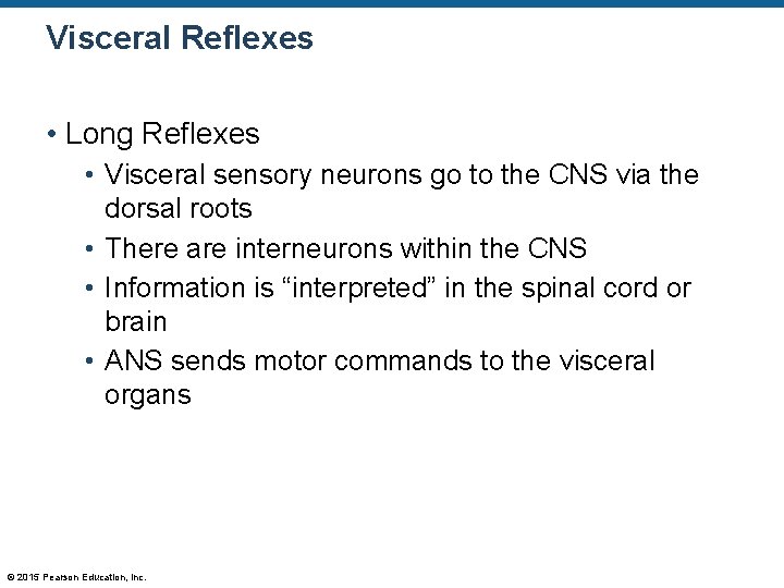 Visceral Reflexes • Long Reflexes • Visceral sensory neurons go to the CNS via